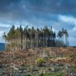 Ilustrasi Dampak perubahan iklim. (Foto: Think Landscape)